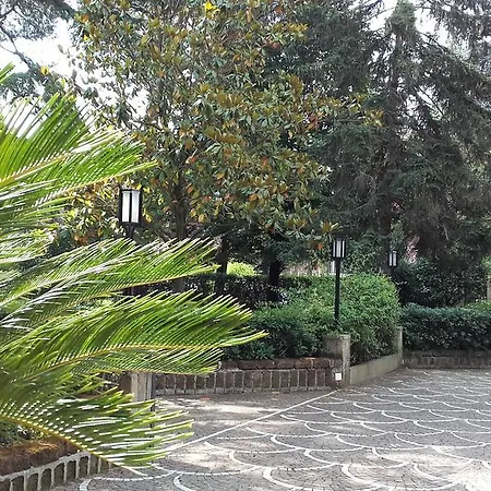 Il Giardino Di Zorro