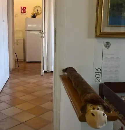 Il Giardino Di Zorro Rome