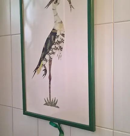 Il Giardino Di Zorro